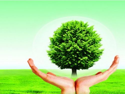 康加凈除甲醛產(chǎn)品展示 產(chǎn)品相冊(cè) 品牌詳情